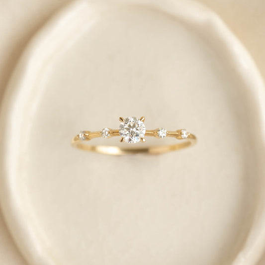 Close-up of Round Diamond Ring 14k Gold - Rocio with a round center stone and smaller diamonds on a soft beige background