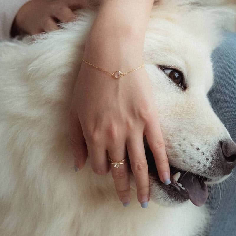 Close-up of a hand with delicate gold jewelry resting on the fluffy white fur of a large dog