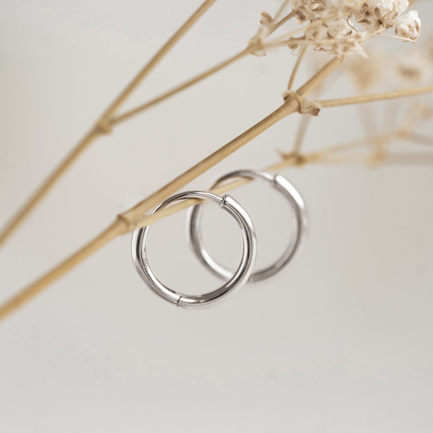 Close-up of White Gold Huggie Earrings - Emilia hanging on a dried beige branch with soft neutral background