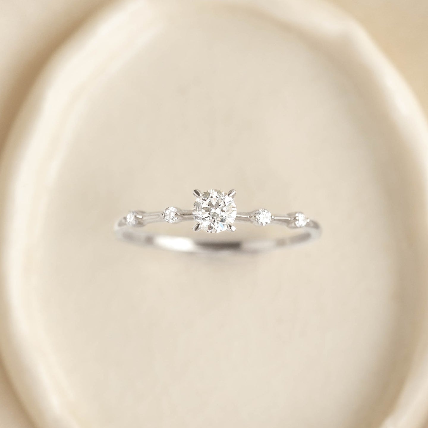 Close-up of Round Diamond Ring White Gold - Rocio with a round center stone and small side diamonds on a soft background