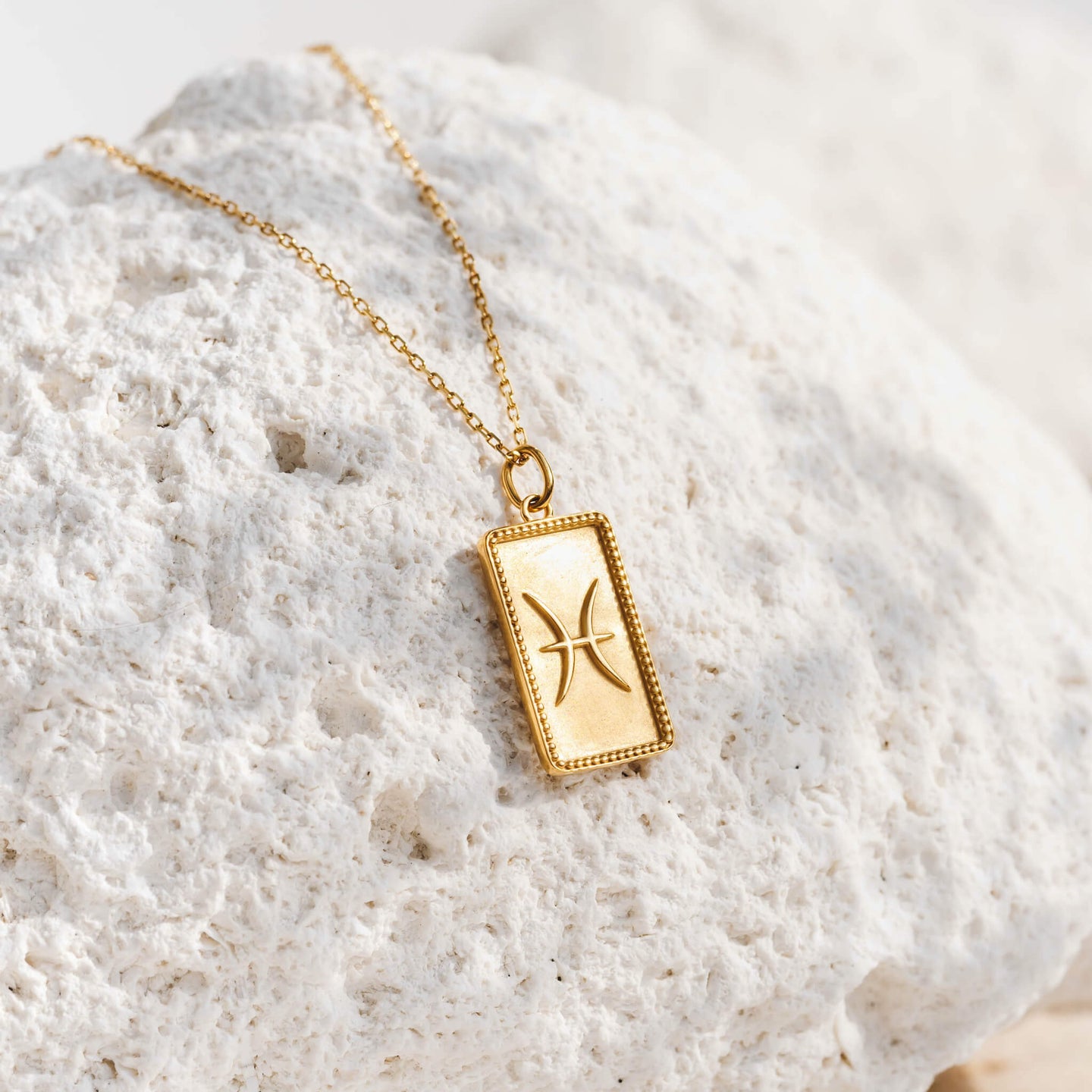 Pisces Necklace with Charm Pendant