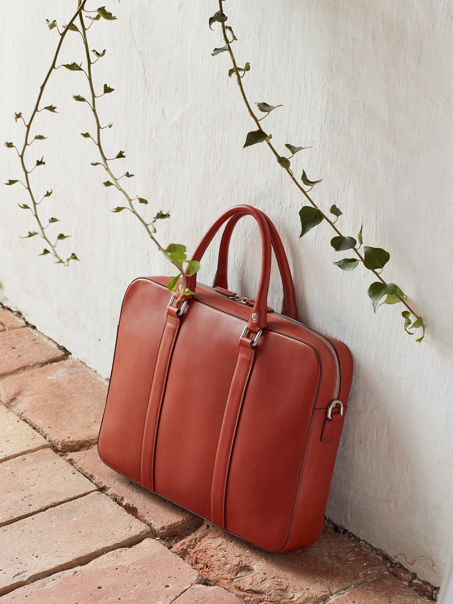 Cognac - Final Sale